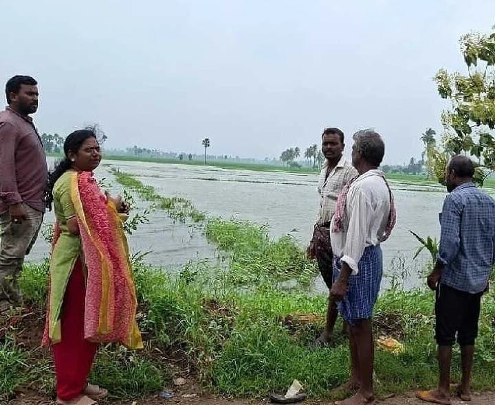 ప్రత్తిపాడులో నీటమునిగిన పంటలను పరిశీలించిన ఏఓ - Udayam