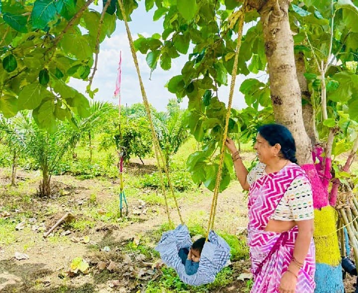 నానమ్మ నాటిన మొక్క.. మనుమరాలికి ఉయ్యాల