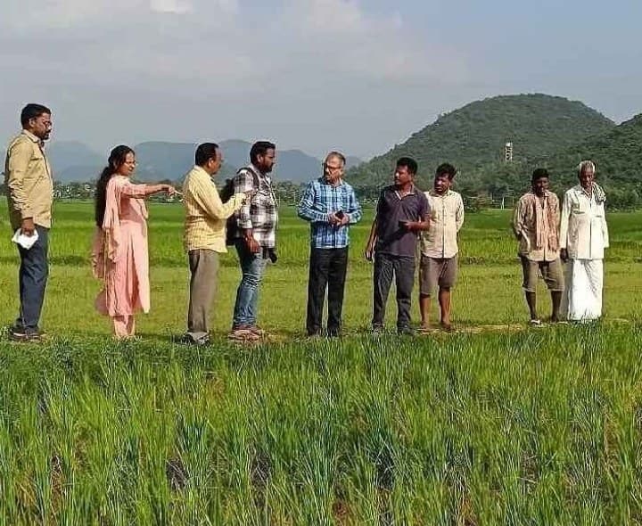 సాగు చేయని భూముల్లో ప్రత్యామ్నాయ పంటలు వేసుకోవాలి - Udayam