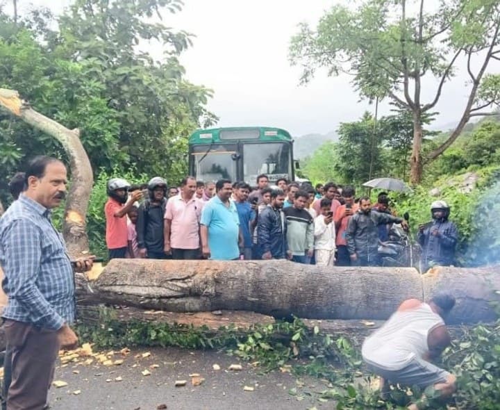 రహదారిపై పడిన భారీ చెట్టు తొలగింపు - Udayam