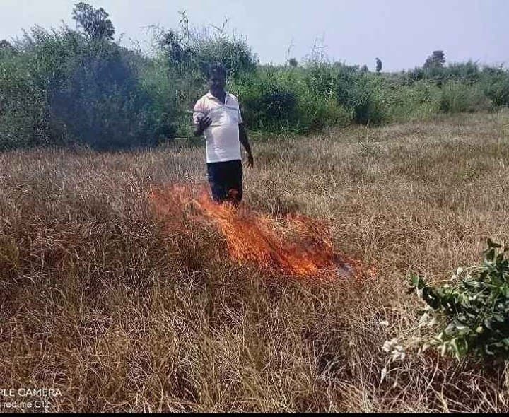 కళ్లముందే కష్టపడి పండించిన పంటకు నిప్పు