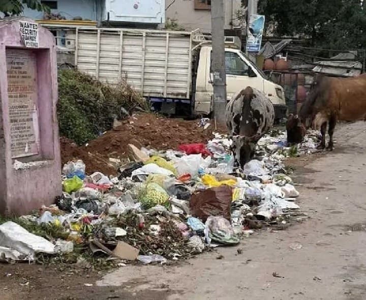 చెత్త తొలగించి గ్రీన్ స్పేస్ చేయాలి - Udayam