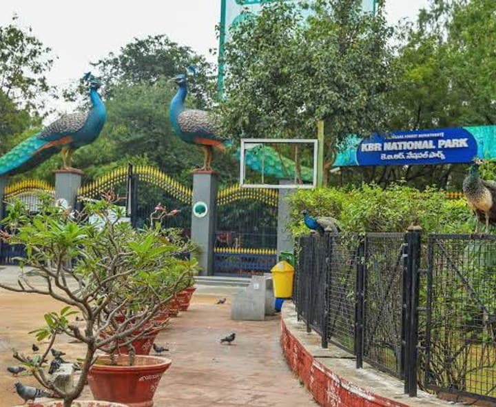 కేబీఆర్ పార్క్‌లో నేటి నుంచి 'వైల్డ్ లైఫ్ వీక్' వేడుకలు - Udayam