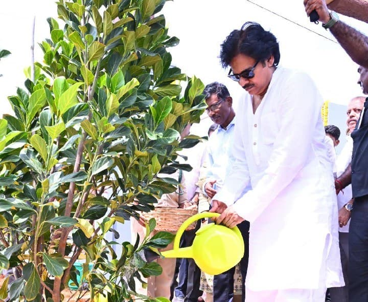 పచ్చదన పరిమళం.. పిఠాపురవనం ఆవిష్కారం