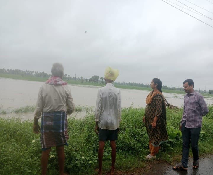 తుఫాన్‌ ప్రభావంతో 650 ఎకరాల్లో వరి పంట నీట మునక