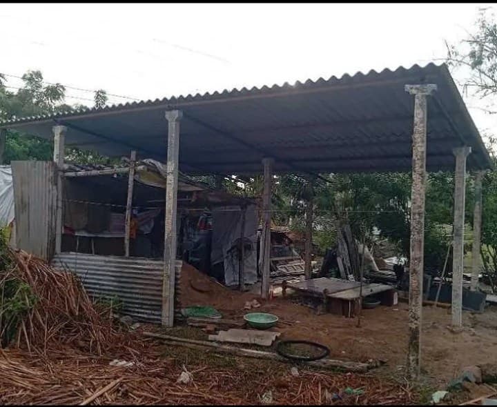 ప్రభుత్వ స్థలంలో అక్రమ రేకుల షెడ్
