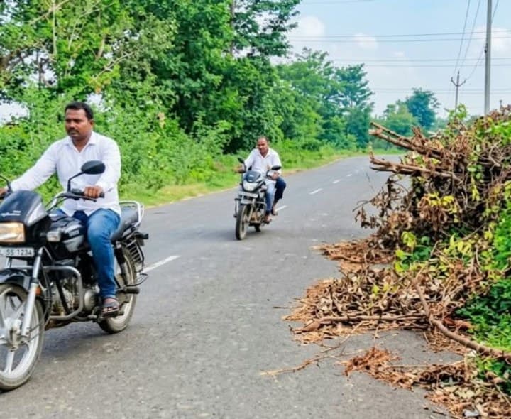 రహదారి పక్కన ప్రమాదకరంగా చెట్ల కొమ్మలు - Udayam