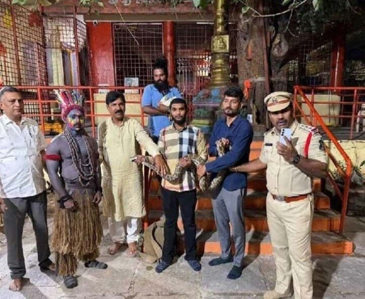 నిమజ్జనంలో పాముతో డాన్స్