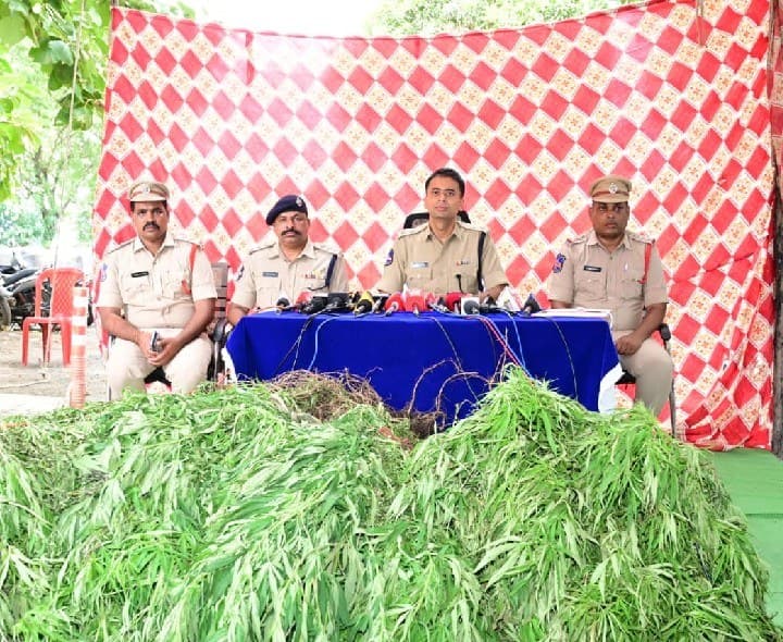 గంజాయి సాగుపై పోలీసుల దాడి