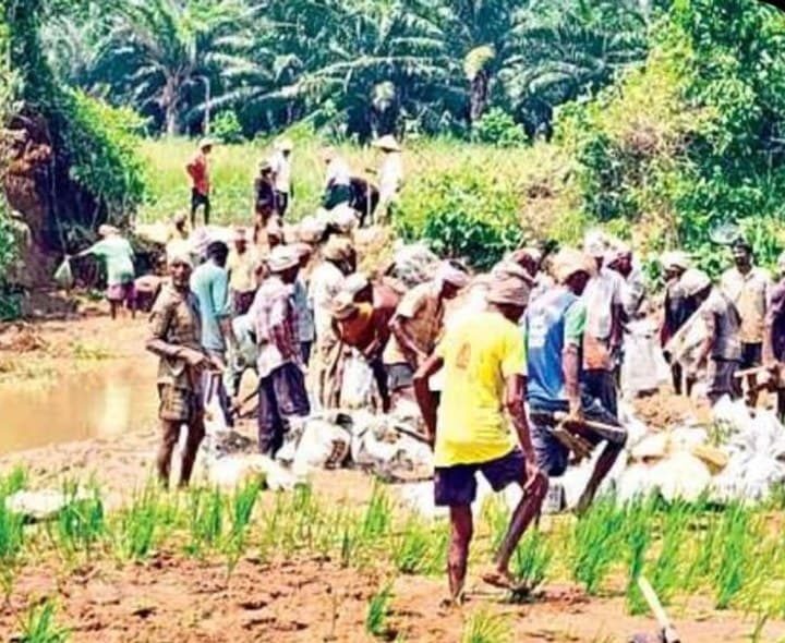 రైతులే కదిలారు.. గండి పూడ్చారు