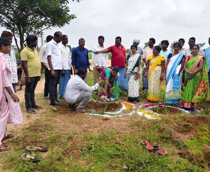 తోటపల్లిలో మొక్కలు నాటిన సర్పంచ్