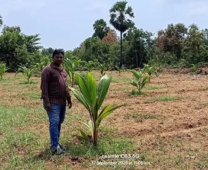 పండ్ల తోటల పెంపకంతోనే ఆర్థికాభివృద్ధి - Udayam