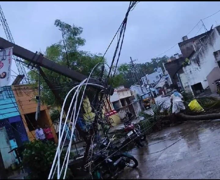 విద్యుత్ స్తంభంపై పడిన కొబ్బరి చెట్టు.. తెగిపడిన కరెంట్ తీగలు - Udayam