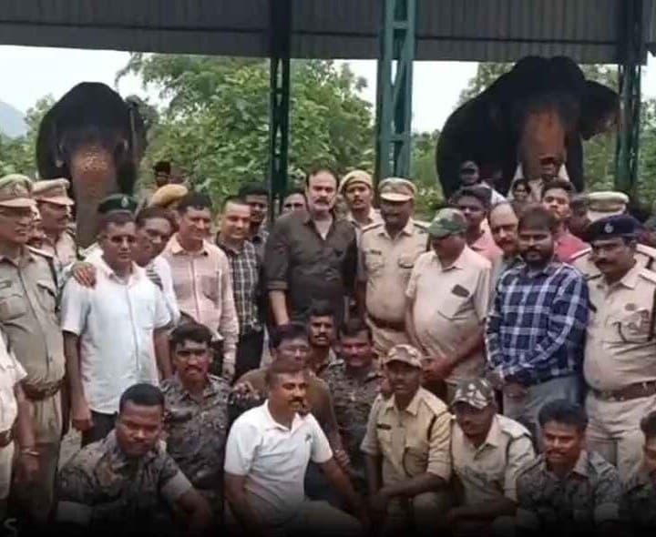 ఎలిఫెంట్ జోన్ పరిశీలించిన ఎమ్మెల్సీ నాగబాబు