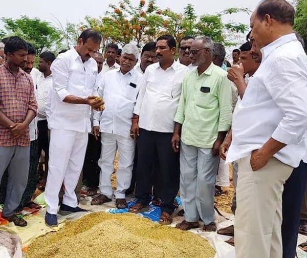 తడిసిన ధాన్యాన్ని కొనుగోలు చేయాలి: ఆల వెంకటేశ్వర్ రెడ్డి