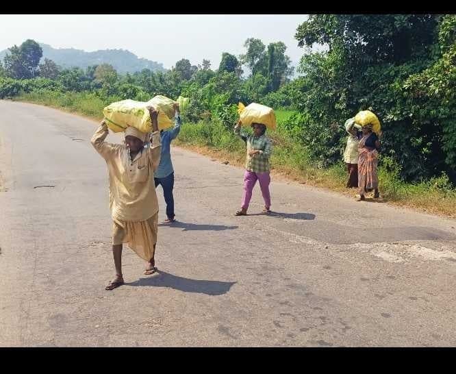 కొమరాడలో తుఫాన్ హెచ్చరికలతో రైతుల ఆందోళన - Udayam