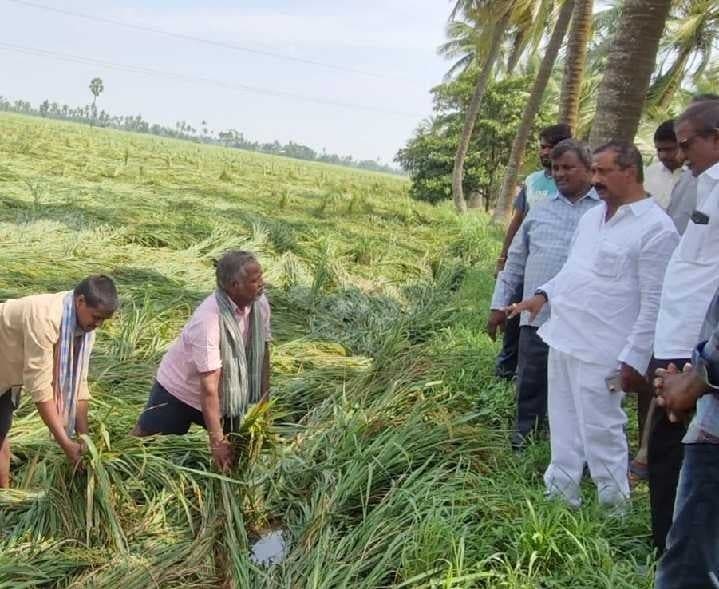 రైతులకు అండగా కూటమి ప్రభుత్వం: వేగుళ్ల - Udayam