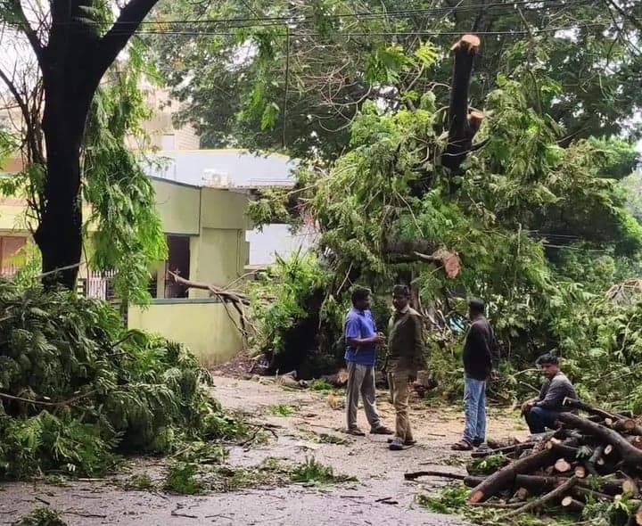 రాజమండ్రిలో రోడ్డుపై నేలకొరిగిన భారీ వృక్షం - Udayam