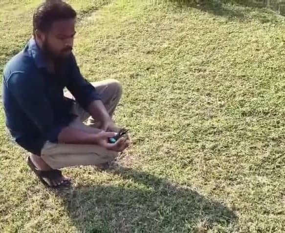 నల్లమల్ల అడవుల్లో నవరంగ పిట్ట విడుదల - Udayam
