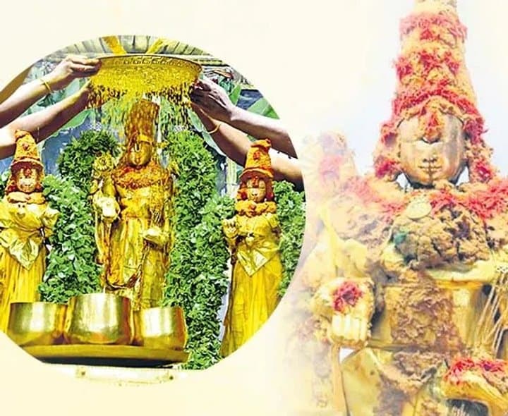 తిరుమలలో పవిత్రోత్సవాల సందడి - Udayam