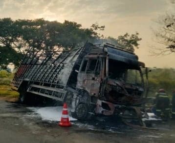 మహబూబ్నగర్లో డీసీఎం దగ్ధం.. వ్యక్తి, 200 మేకలు సజీవదహనం - Udayam