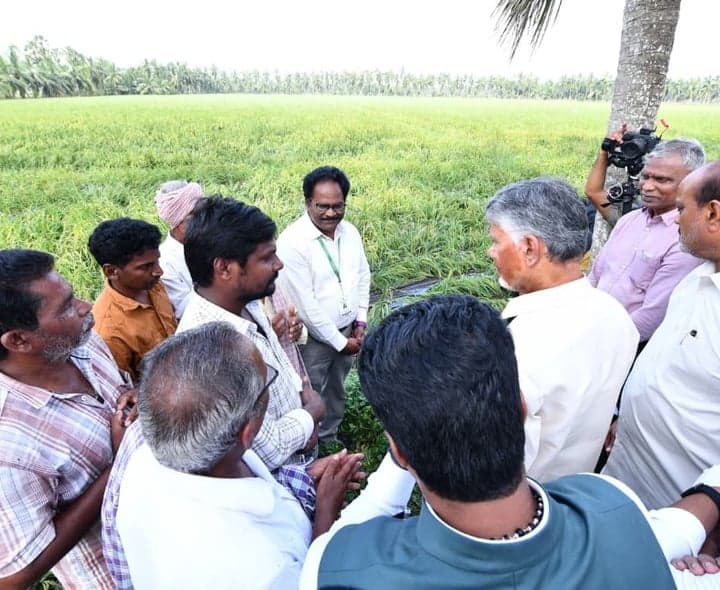 తుఫాన్ ప్రభావిత ప్రాంతాల్లో చంద్రబాబు పర్యటన - gallery image 3