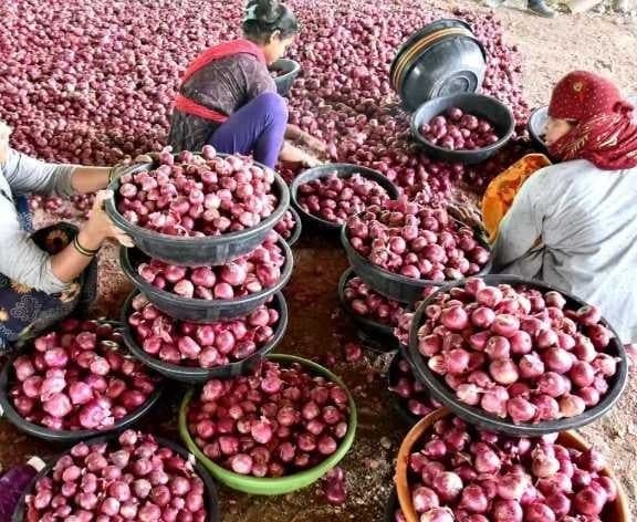 బిక్కవోలులో కిలో ఉల్లి ధర రూ.70 - Udayam