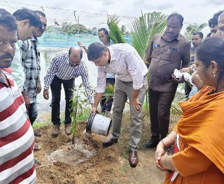 సీతాయిపల్లిలో మొక్కలు నాటిన కలెక్టర్