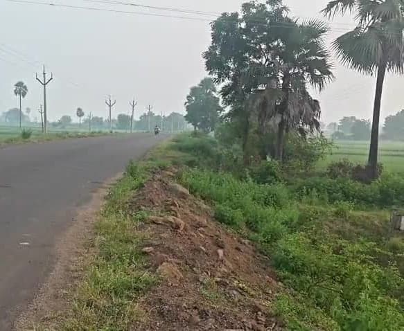 రోడ్డుపక్కన ప్రమాదకర బావి - Udayam