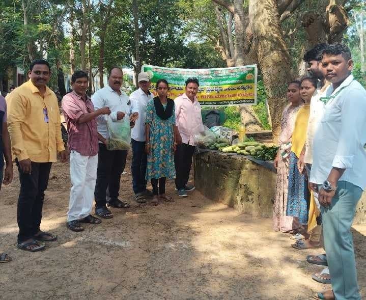 సీతంపేట ITDAలో సేంద్రియ పంటల విక్రయం - Udayam