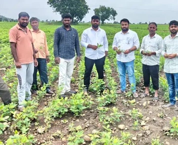 పంటలను పరిశీలించిన వ్యవసాయ అధికారులు