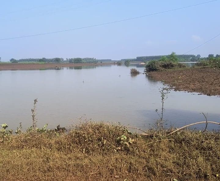 గుండేటి వాగు వద్ద ఇంకా వరదే - Udayam