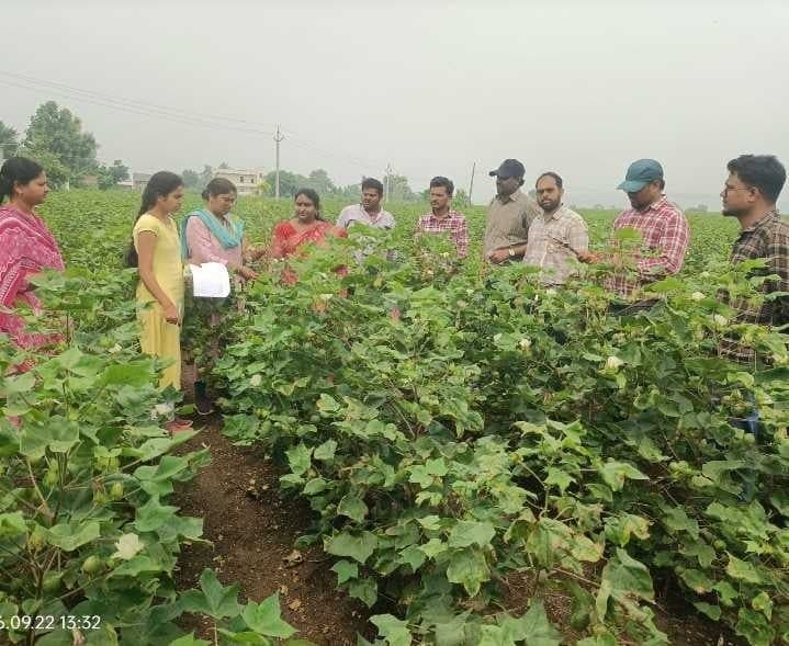 టేకుమట్లలో పంటలను పరిశీలించిన శాస్త్రవేత్తలు - Udayam