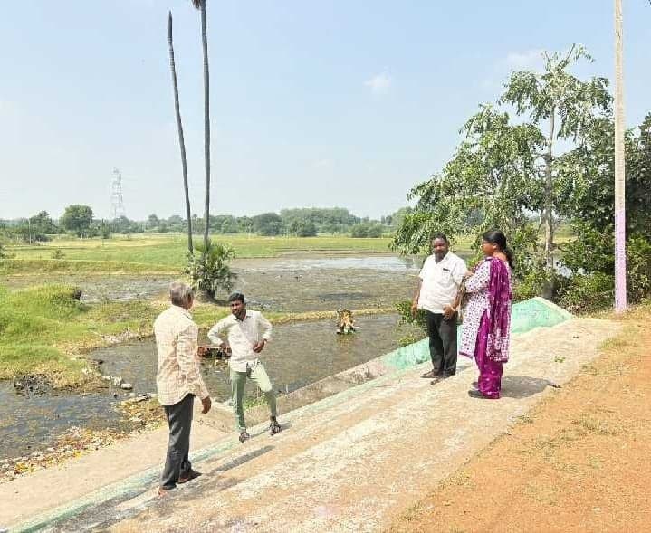 సద్దుల బతుకమ్మకు ముస్తాబైన రాంపూర్ - Udayam