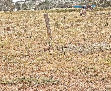పల్లెల్లోనూ అక్రమ రియల్ వెంచర్లు - Udayam