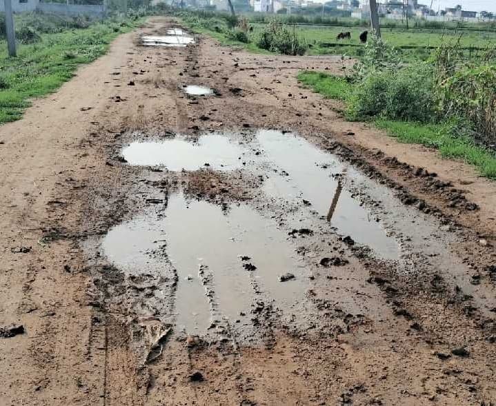 కడపలో తారు రోడ్డు కోసం ప్రజల వినతి - Udayam