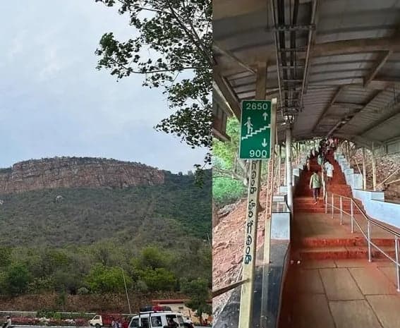 అలిపిరి మార్గంలో చిరుత సంచారం - Udayam
