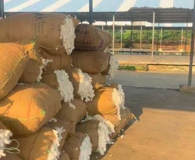 తుఫాన్ భయంతో పత్తి రైతుల్లో ఆందోళన - Udayam