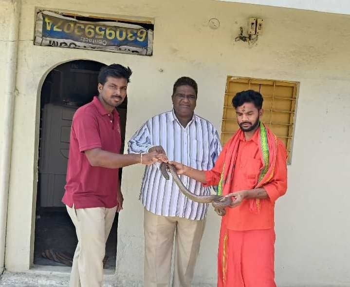 గోదావరిఖనిలో కనిపించిన రెండు తలల పాము - Udayam