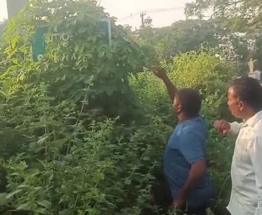 ఖానాపూర్ రోడ్డుపై పిచ్చిమొక్కలతో ఇబ్బందులు - Udayam