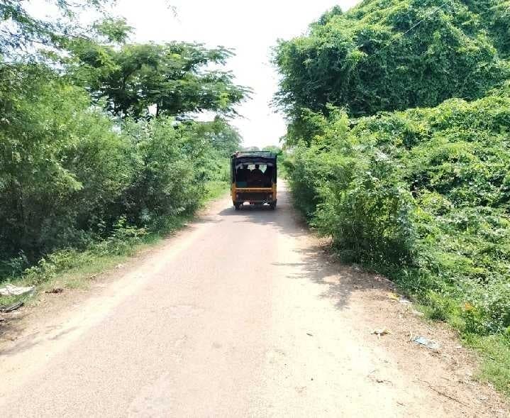 రోడ్డుపైకి ముళ్ల చెట్లు.. ఇబ్బందులు - Udayam