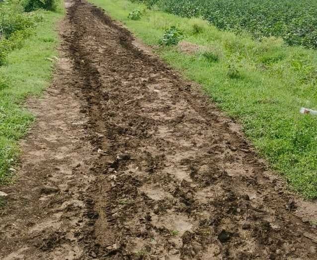 గురజాలలో అధ్వానంగా పొలం బాటలు - Udayam