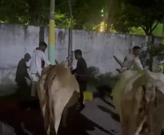 తూప్రాన్లో మూడు గోవులను రక్షించిన సమితి - Udayam