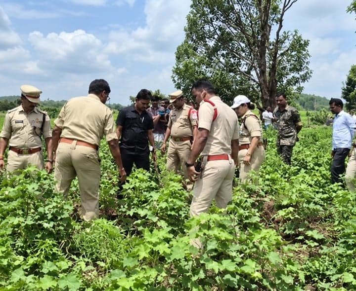 సిర్పూర్(యు)లో గంజాయిపై పోలీసుల నిఘా