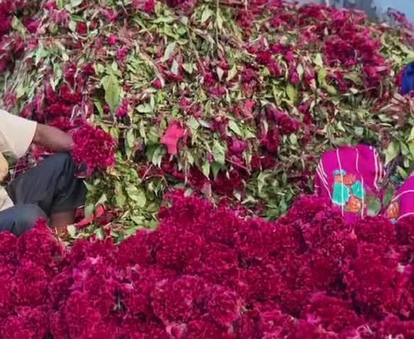 బతుకమ్మ వేళ పూలతో కళకళలాడుతున్న హుజూరాబాద్ - Udayam