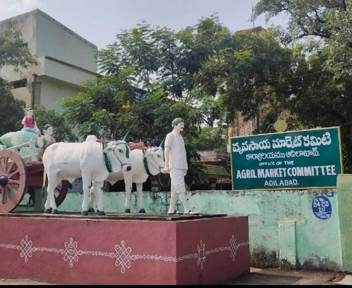 ఆదిలాబాద్లో రూ.20 పెరిగిన పత్తి ధర - Udayam