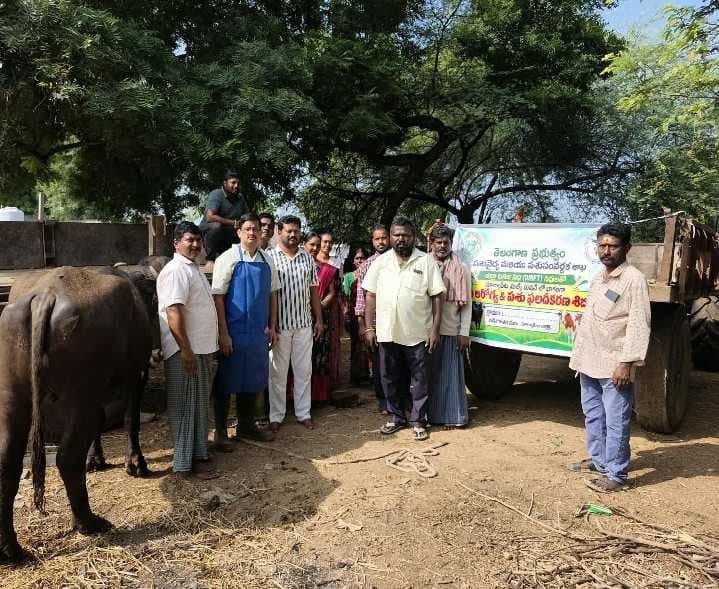 వల్లాపురంలో పశు వైద్య శిబిరం - Udayam