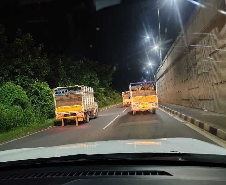 రెబ్బెనలో పశువుల రవాణాపై అనుమానాలు