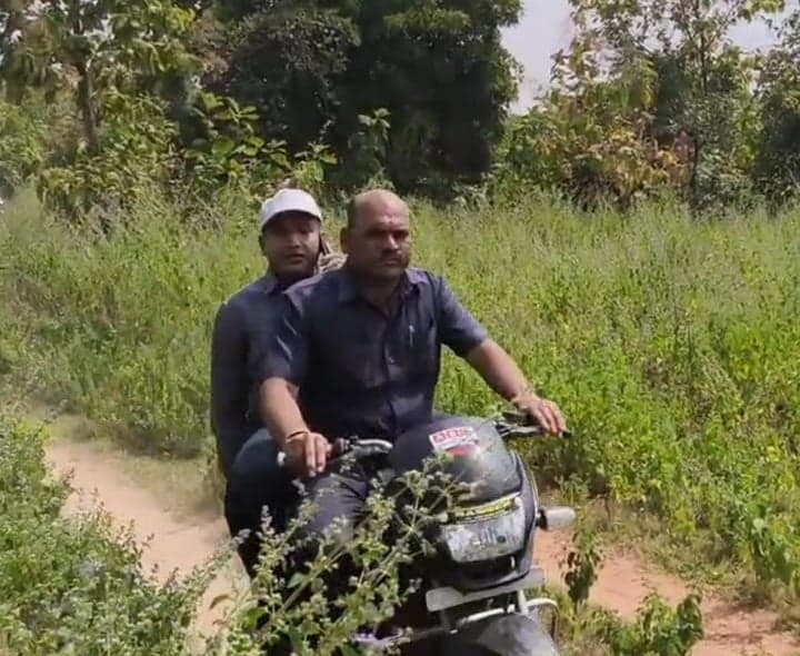 ఆదిలాబాద్లో పూల తోటలు, టమాటా పంటలను పరిశీలించిన కలెక్టర్ - gallery image 4