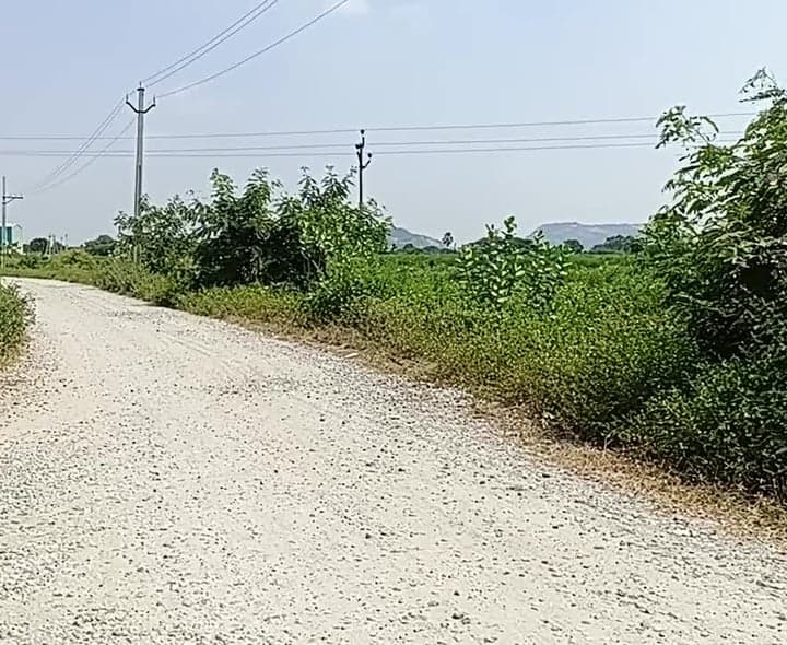 ధర్మ తండా రహదారి అధ్వానం - Udayam